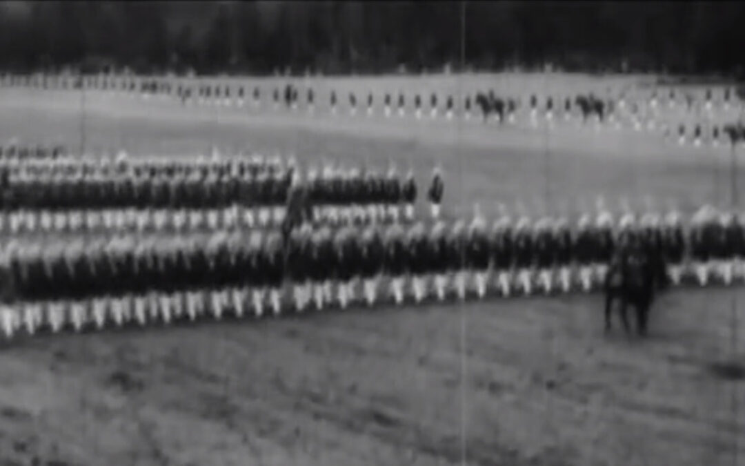 Gran revista militar en el Parque Cousiño (fragmento)