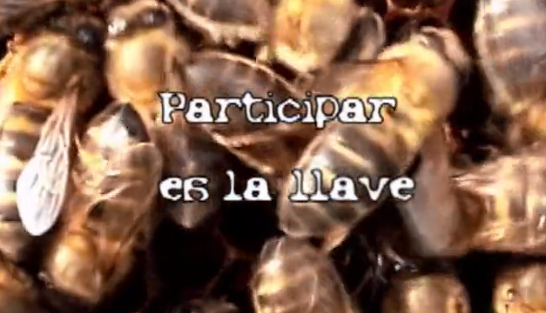 Participar es la clave, la llave, la nave