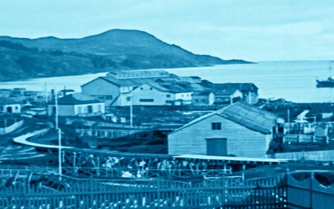 Magallanes Film: Actualidades de Magallanes Nº12
