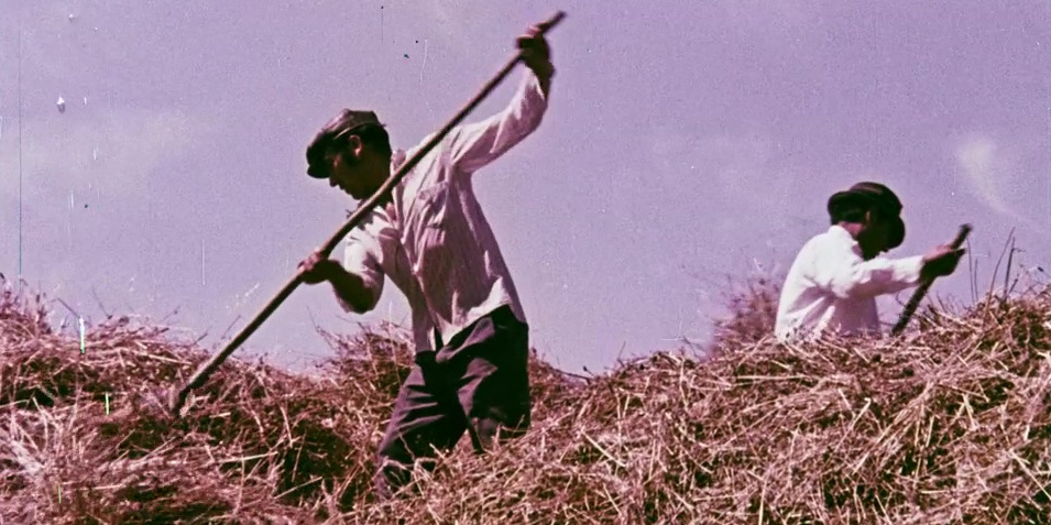 Chile 75: su paisaje y su gente