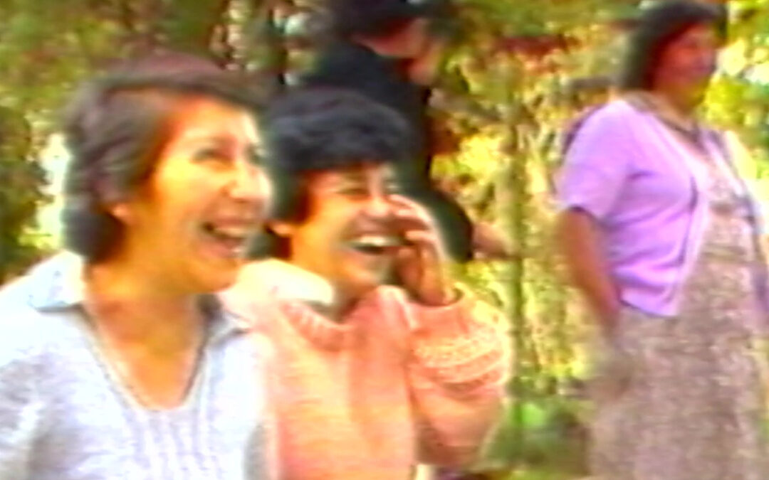 Tantas vidas, una historia