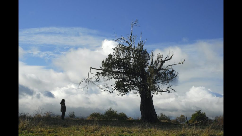 El cielo, la tierra y la lluvia
